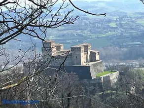 Acero Giallo - Image 5