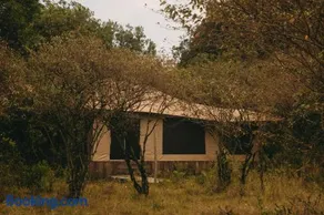Ilora Retreats - Image 4