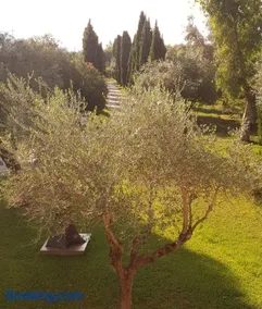 Fattoria Il Giardo - Image 2