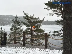 Luxury Villa in Lyngdal - Image 5