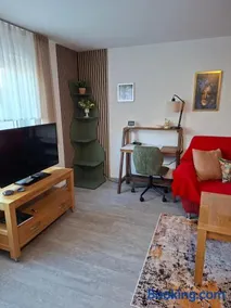 Collenberger Ferienwohnung Schäfer - Image 2