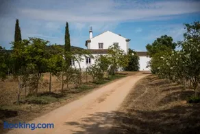 Herdade dos Alfanges "THE BARN" - Image 2