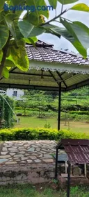 Aristaa Morni Hills: Pristine Stay in the Wild - Image 2