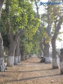 Casa La Alameda Pachacamac - Image 2