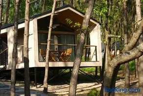 3pokoje - Domek lub Pokój pod lasem na odludziu, jacuzzi, sauna, kominek, Roztocze - Image 3