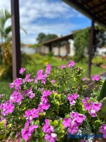 Casa Mangue - Image 3