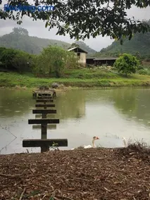 Pousada Viva - Image 4