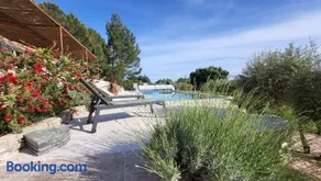 Havre de paix au bord des Alpilles - Image 3