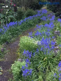 English Gardens - Forest Spa Suite - Image 3