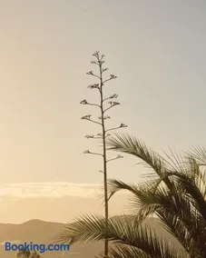 Quinta Estrella - Image 2