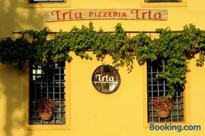 House Trta - Image 2