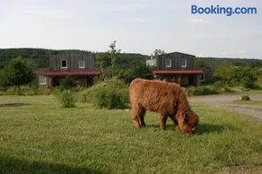 Rech Hof Urlaub auf dem Bauernhof - Image 4