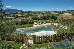 Agriturismo Emidio Pepe - Image 2