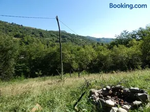 Romantic yurt in Apuseni mountains - Image 2