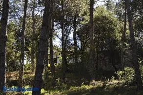 La cabaña del Burguillo - Image 2