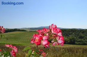 Agriturismo Cignanbianco - Image 3