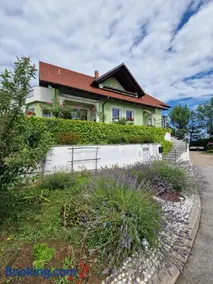 Green House Apartment - Image 1