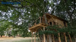 Cabane Philibert - Nature et calme au Bois de Cussac - Image 4