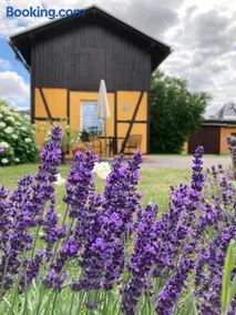 Ferienhaus Heinicke - Image 2