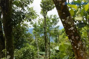 BASIS Mountain House - Image 3