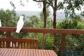 Tree Top Getaway - Image 4