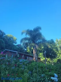 Casa de campo em Carlos Barbosa - Serra Gaúcha - Image 5