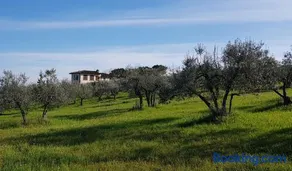 B&B La Zolla - Image 1