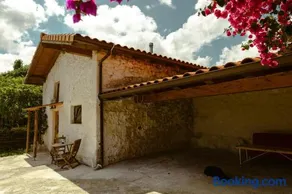 La casa de los árboles - Image 5
