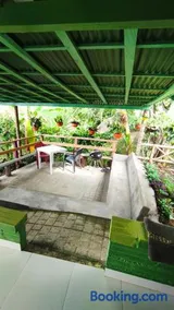 Finca los Martinez - Tamesis - Vereda San Isidro - Image 2