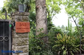 B&B Terre Toscane - Image 2
