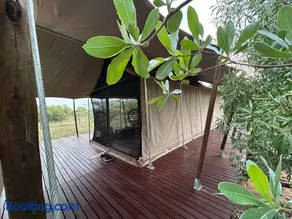 Out in Africa Wildlife Lodge - Image 2