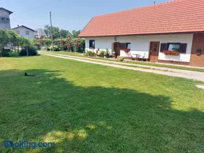 Apartma Vida - Image 5