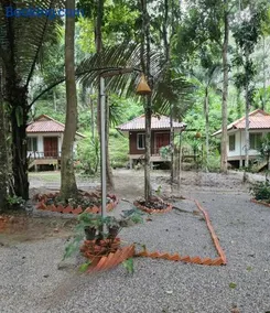 Khaosok Creek and Jungle Resort - Image 5