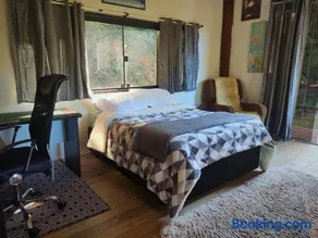 Propriedade inteira e Kombi-home em meio à mata - Image 3
