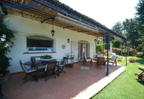 La Violetta - Image 2