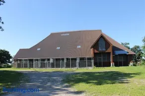 Tetenshof für Pferdeliebhaber - Image 4