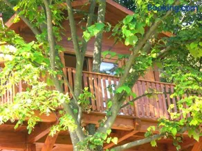 Casa sull'Albero Aromantica - Image 2