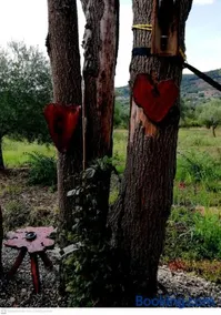 L'Oasi - Image 2