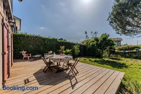 Les Mimosas - Image 2