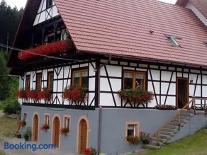 Steinhof - Image 2