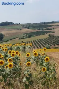 Ca' San Lorenzo - Villa panoramica con piscina - Vignale Monferrato - Image 2