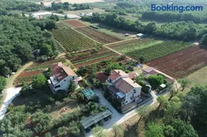 Viva Molindrio - Image 4