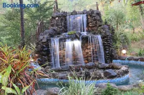 THE ENCHANTING NEST - Image 2