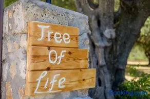 Tree of Life - Image 2