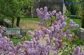 Maison Larzac Cevennes Grand Gite - Image 3