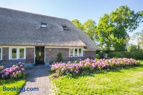 Juffertje in het groen - Image 1
