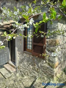 Autenticum Agriturismo Tolfa - Image 1