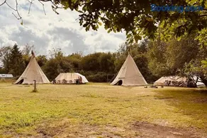 Hillcroft Holiday - Dragonfly Lodge, Woody Hut & Alpaca My Tipi Glamping - Image 4