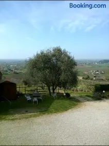 Il Castagneto - Image 2