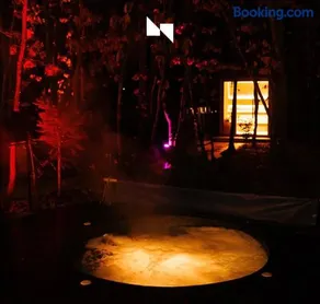 Natural Pool & SPA - Image 3